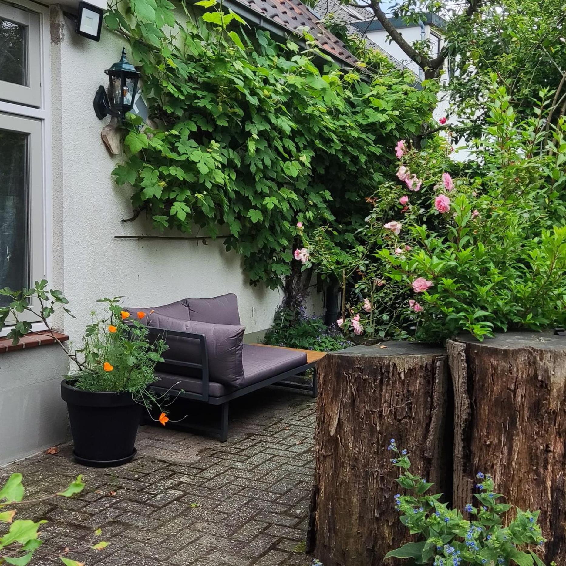 Logies Op Dreef Bed and Breakfast Driebergen Eksteriør billede